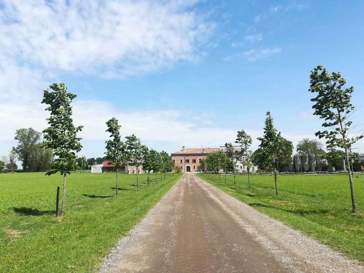 New Flowers Farm B&B Noceto Eksteriør billede