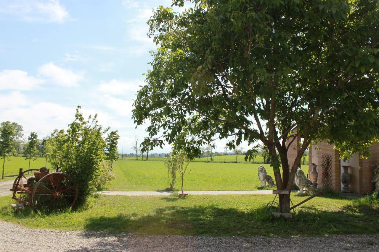 New Flowers Farm B&B Noceto Eksteriør billede